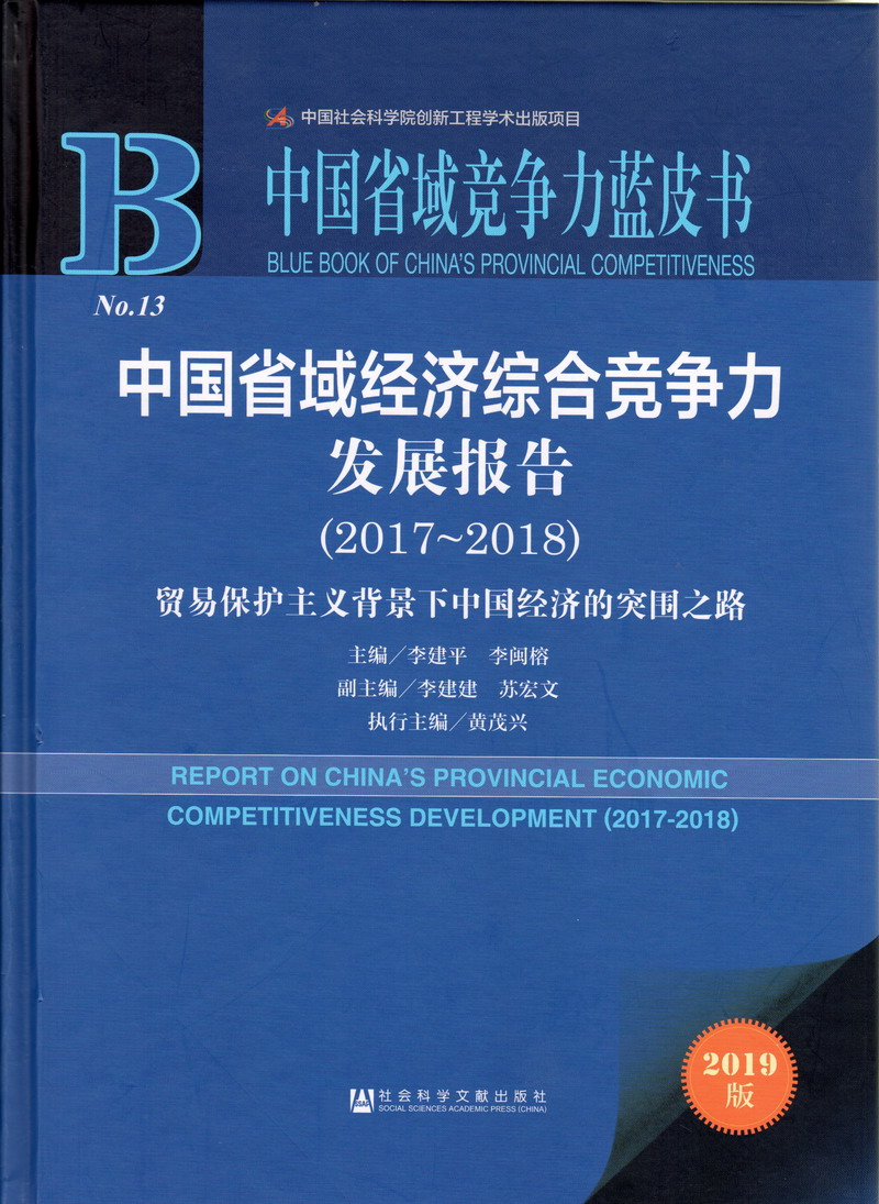 快，不要停，穴，扒开小说中国省域经济综合竞争力发展报告（2017-2018）